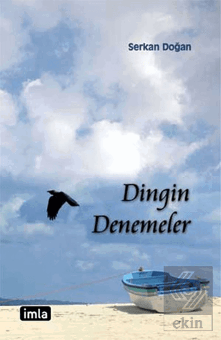 Dingin Denemeler