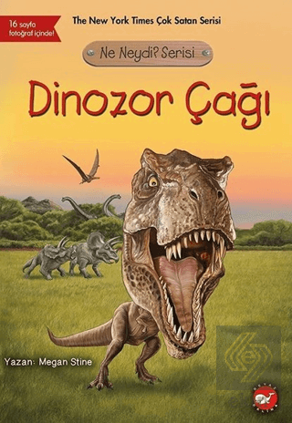 Dinozor Çağı - Ne Neydi? Serisi