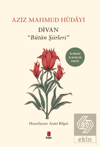 Divan - "Bütün Şiirleri"