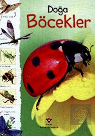 Doğa: Böcekler