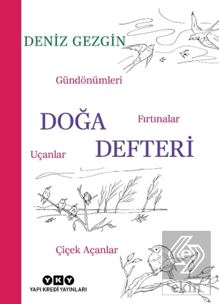 Doğa Defteri - Gündönümleri, Fırtınalar, Uçanlar, Çiçek Açanlar