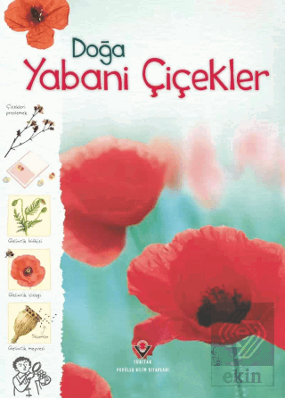 Doğa - Yabani Çiçekler