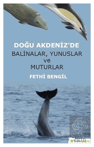 Doğu Akdeniz\'de Balinalar, Yunuslar ve Muturlar