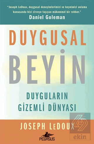 Duygusal Beyin