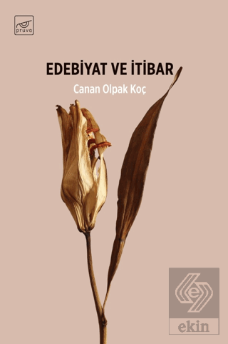 Edebiyat ve İtibar