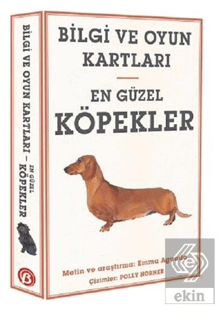 En Güzel Köpekler - Bilgi ve Oyun Kartları