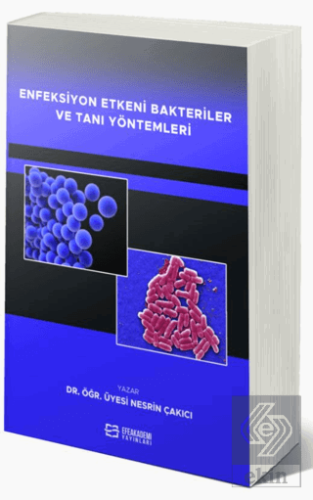 Enfeksiyon Etkeni Bakteriler ve Tanı Yöntemleri