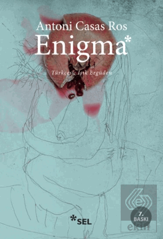 Enigma