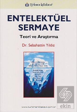 Entelektüel Sermaye