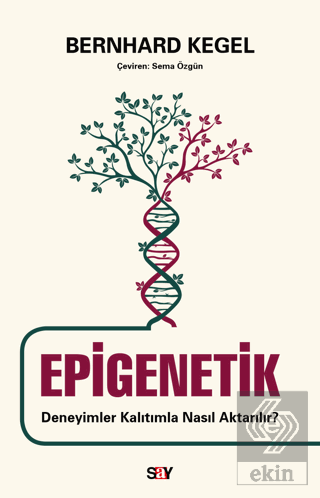 Epigenetik