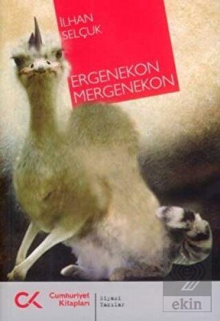 Ergenekon Mergenekon