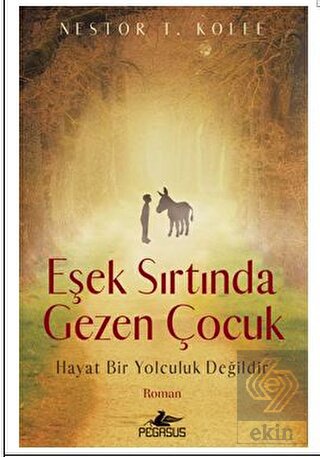 Eşek Sırtında Gezen Çocuk