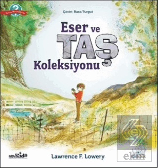 Eser ve Taş Koleksiyonu