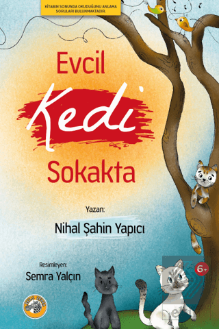 Evcil Kedi Sokakta