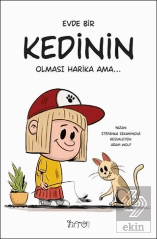 Evde Bir Kedinin Olması Harika Ama