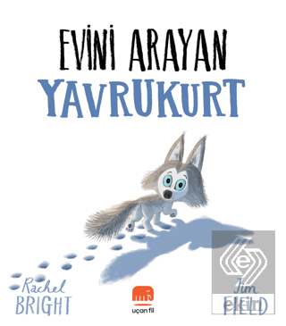 Evini Arayan Yavrukurt