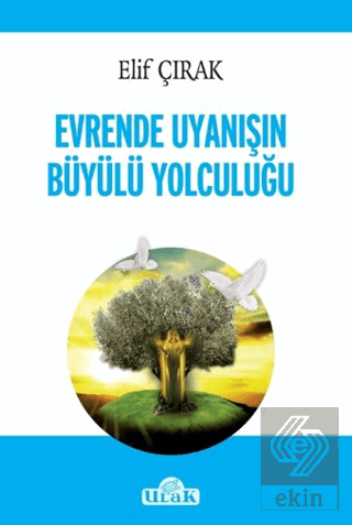 Evrende Uyanışın Büyülü Yolculuğu