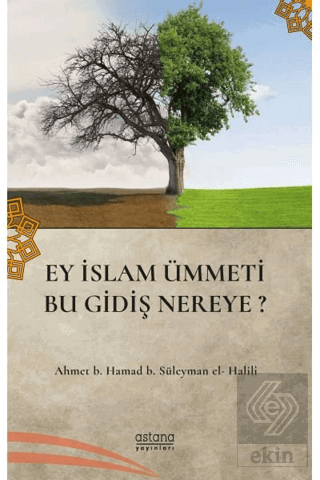 Ey İslam Ümmeti Bu Gidiş Nereye?