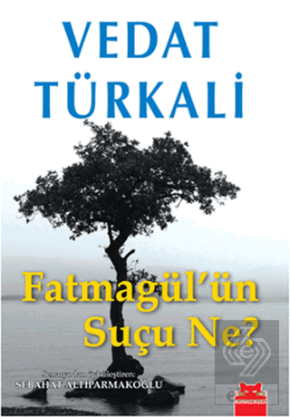 Fatmagül\'ün Suçu Ne?