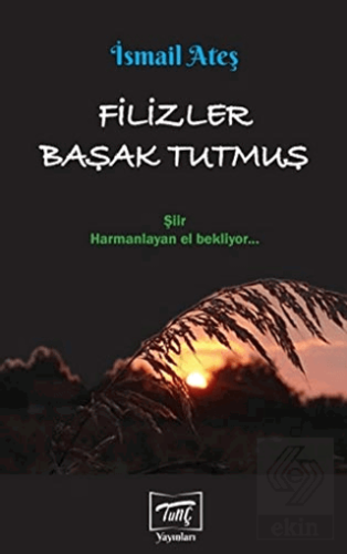 Filizler Başak Tutmuş