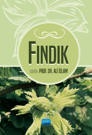 Fındık