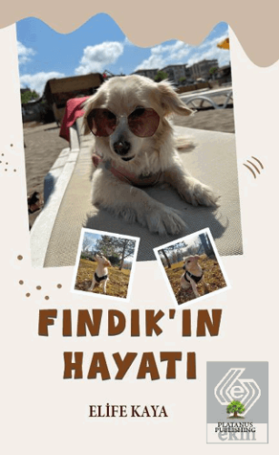 Fındık'ın Hayatı