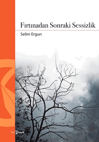 Fırtınadan Sonraki Sessizlik