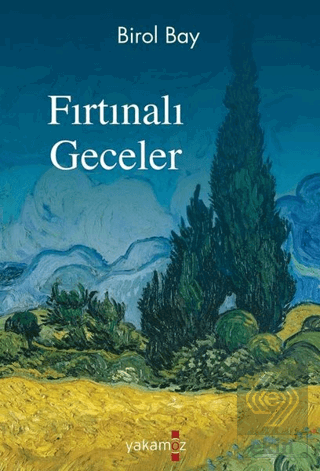 Fırtınalı Geceler