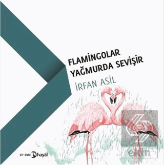 Flamingolar Yağmurda Sevişir