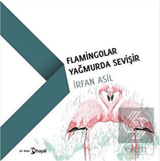 Flamingolar Yağmurda Sevişir