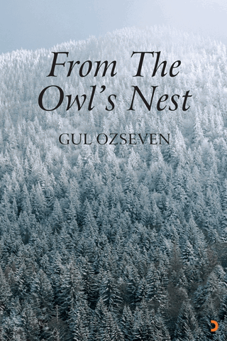 From The Owl's Nest