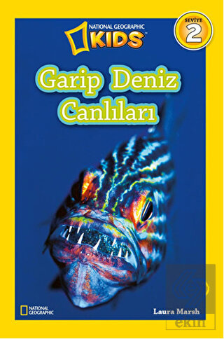 Garip Deniz Canlıları (Seviye 2)