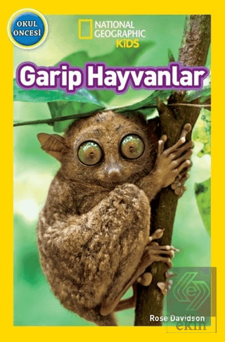 Garip Hayvanlar