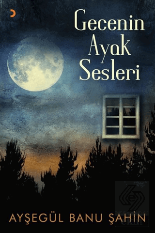 Gecenin Ayak Sesleri