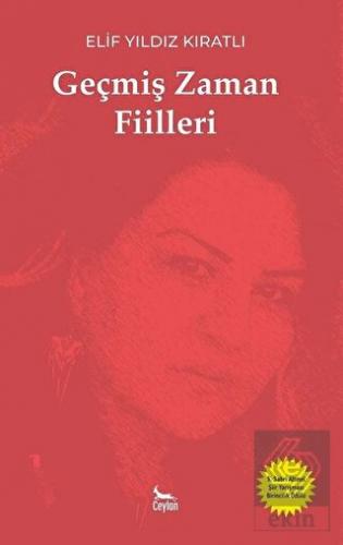 Geçmiş Zaman Fiilleri