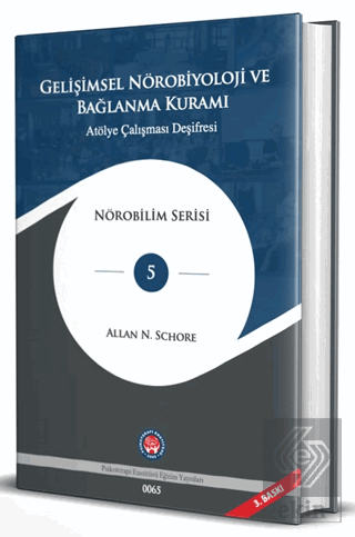 Gelişimsel Nörobiyoloji ve Bağlanma Kuramı