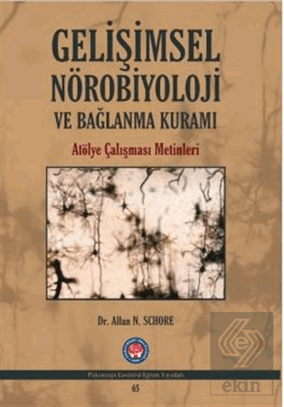 Gelişimsel Nörobiyoloji ve Bağlanma Kuramı