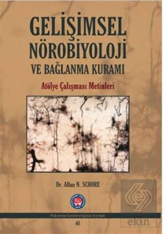 Gelişimsel Nörobiyoloji ve Bağlanma Kuramı