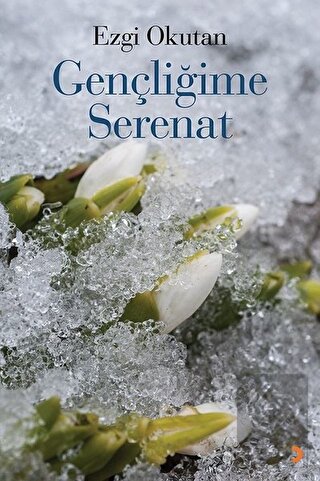 Gençliğime Serenat