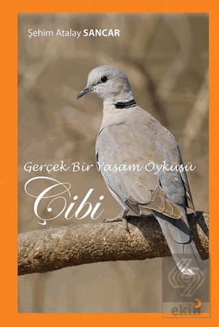 Gerçek Bir Yaşam Öyküsü Çibi