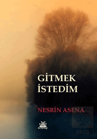 Gitmek İstedim