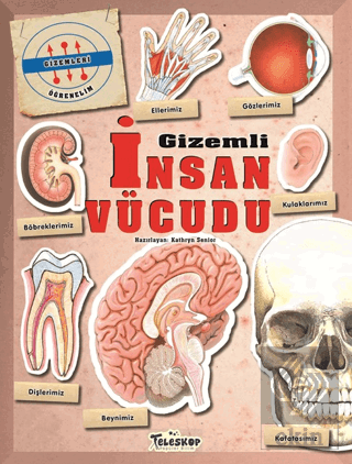 Gizemleri Öğrenelim - Gizemli İnsan Vücudu