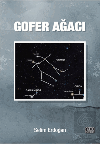 Gofer Ağacı