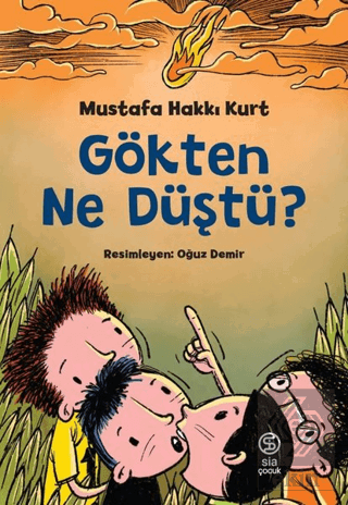 Gökten Ne Düştü?