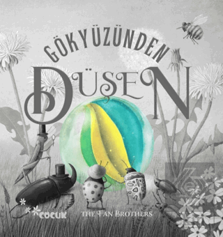 Gökyüzünden Düşen