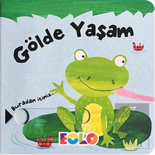 Gölde Yaşam