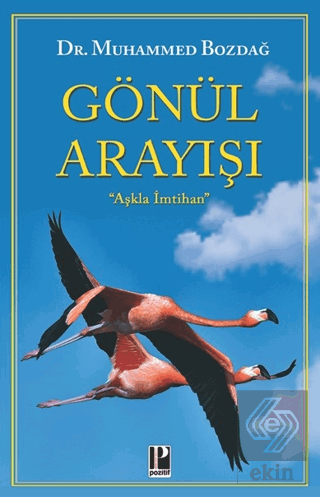 Gönül Arayışı