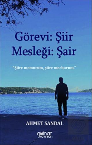 Görevi Şiir Mesleği Şair