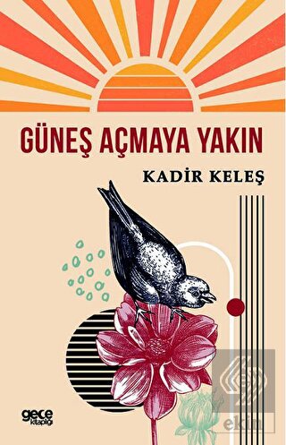 Güneş Açmaya Yakın