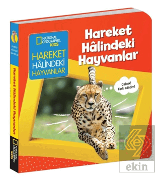 Hareket Halindeki Hayvanlar - İlk Kitaplarım Seris